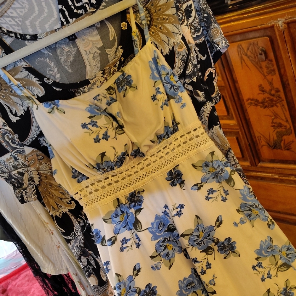 Floral Sleeveless Dress with Lace Detail